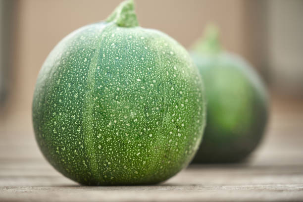small green zucchini on the background of vegetable marrow in a blur. - zucchini squash marrow squash vegetable imagens e fotografias de stock