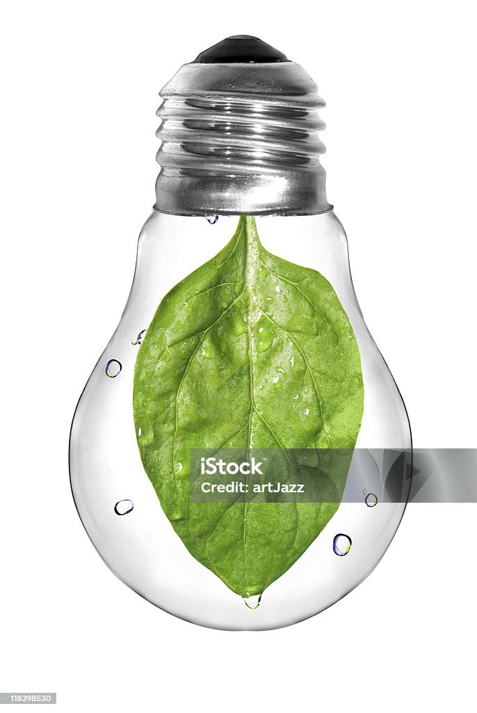 Lampadina con Verde foglia di spinaci - Foto stock royalty-free di Acqua