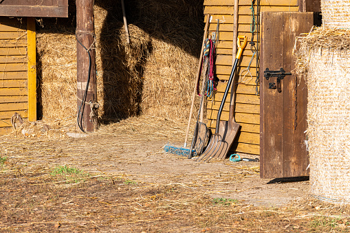 Stud farm in the sunshine. View of the open wooden door to the stable, forks and other tools, straw and hay. Everyday life at the horse farm.