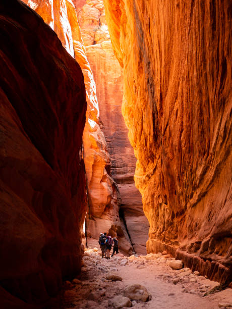 istock Paria canyon landscape 1183986422