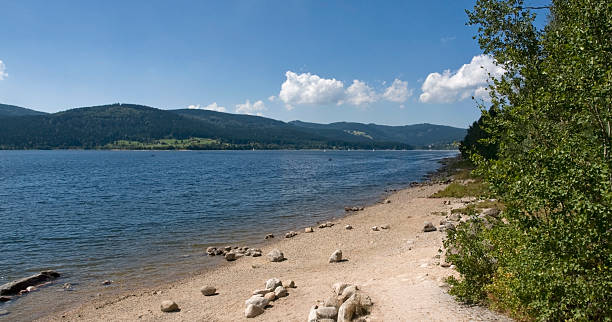 istock Schluchsee in the Black Forest 118398665