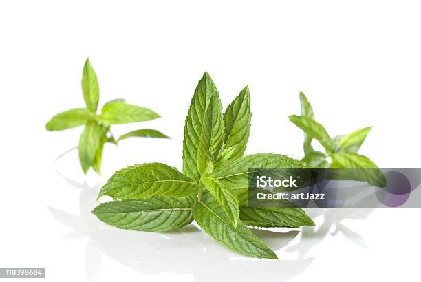 Fresh Green Mint Stock Photo - Download Image Now - Branch - Plant Part, Close-up, Color Image