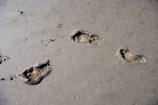 istock Footprints in the wadden sea 118398886