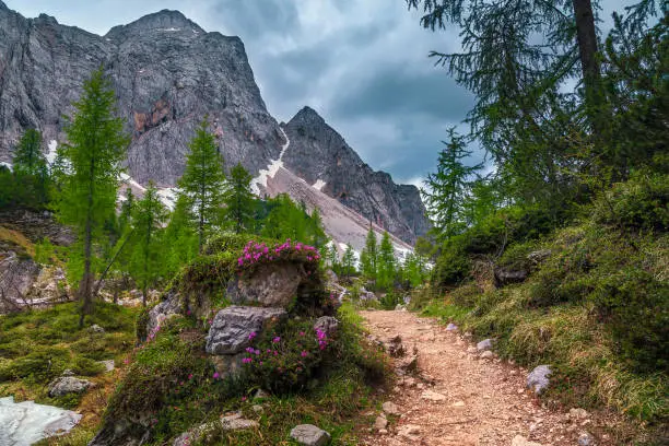 Photo of Beautiful spring landscape with hiking trail in Julian Alps, Slovenia