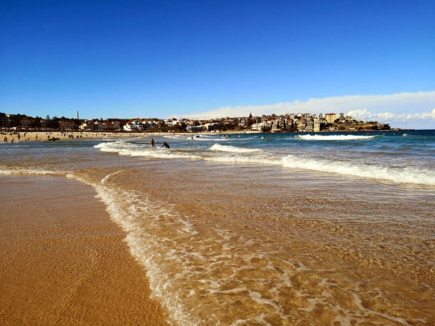 People on the famous Bondi beach in Sydney, New South Wales, Australia. It is one of the most popular tourist destinations in the city.