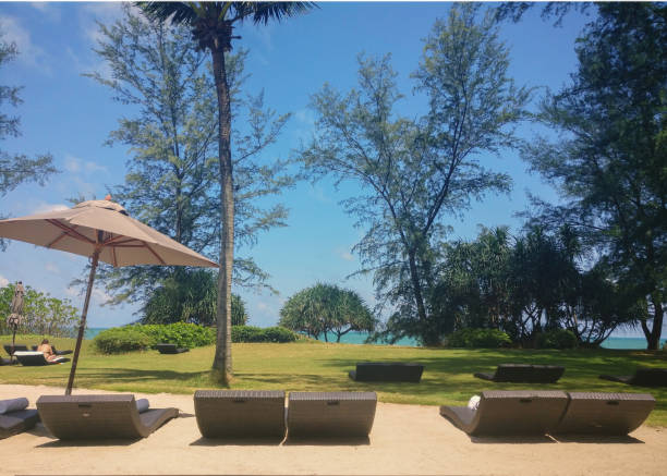 leżaki leżące estetycznie obok zielonego trawnika z częściowym widokiem na zielone morze - tanning bed brown relaxation resting zdjęcia i obrazy z banku zdjęć