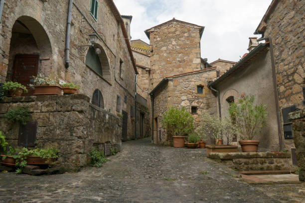 istock Pitigliano medieval town in Tuscany, Italy 1183993509