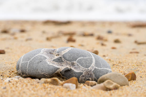 istock Gray stone with white lines lying on a sand beach. 1183993890