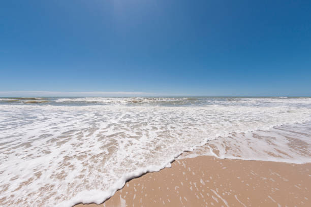 istock Foamy waves and blue sky at tropical beach in Brazil 1183995467