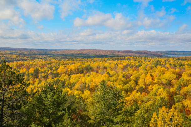 Wide view of Algonquin Provincial Park stock photo