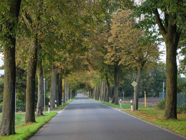 istock autumn time in the german muensterland 1183996931