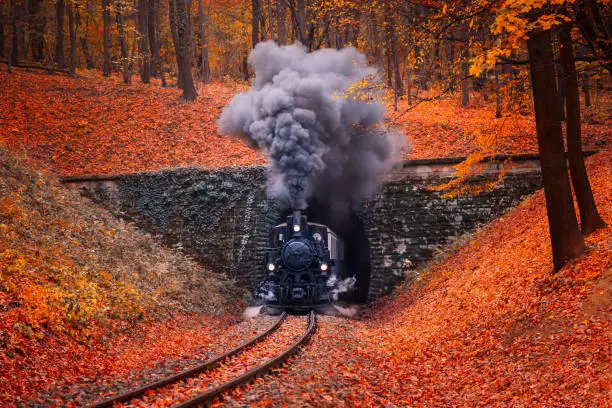 Steam-engine locomotive coming from tunnel, emits dense gray smoke through the chimney. Autumn forest in Budapest beautiful colors and fallen leaves in the background. Retro style image