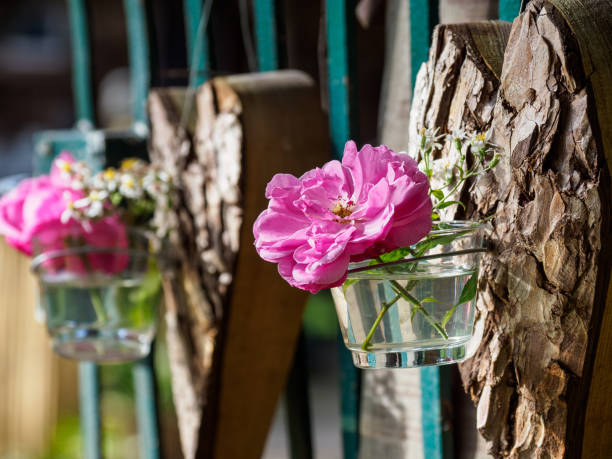 istock summer time in the garden 1183998265