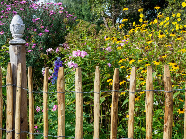 istock summer time in the garden 1183998377