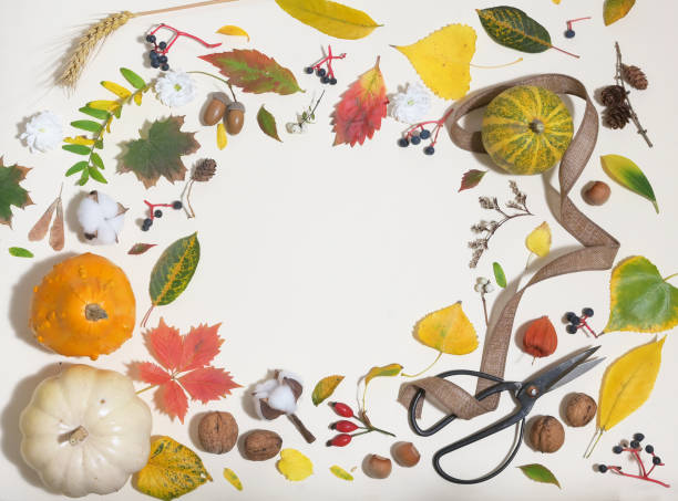 istock Autumn Colourful Leaves  And Frame Isolated 1183998482