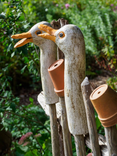 istock summer time in the garden 1183998617
