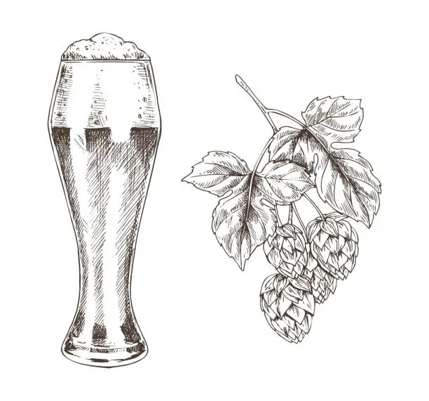 Vector illustration of Hop Brunch and Beer Goblet Vector Illustration