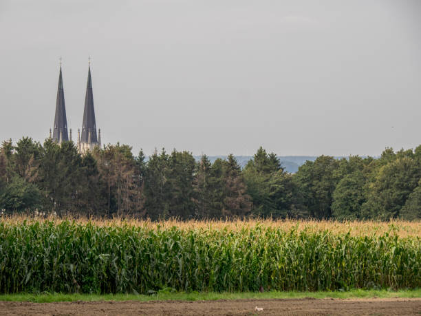 istock hiking near billerbeck in germany 1183999820