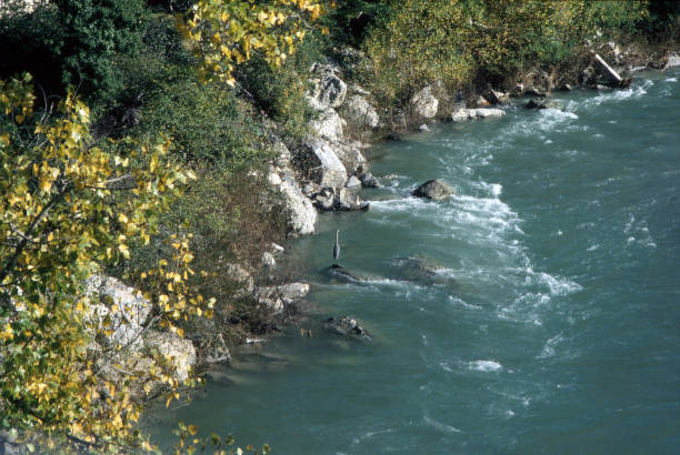 Photo taken in the department of Drôme, on the banks of the Rhone River.