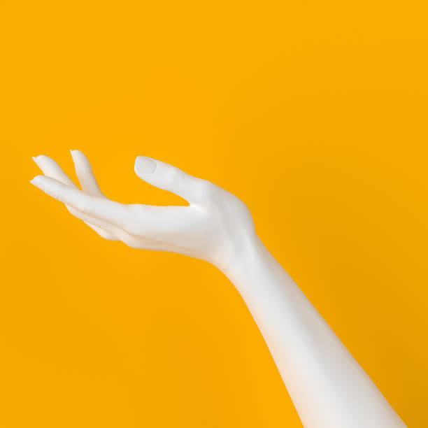istock White open hand sculpture giving, holding, take or showing something gesture isolated on yellow background, 3d illustration, 1184000467