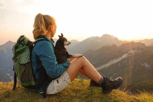CLOSE UP, LENS FLARE: Carefree blonde haired girl sits on the grassy mountaintop and pets her dog while observing the picturesque nature at sunset. Happy woman rests with puppy after a morning hike.