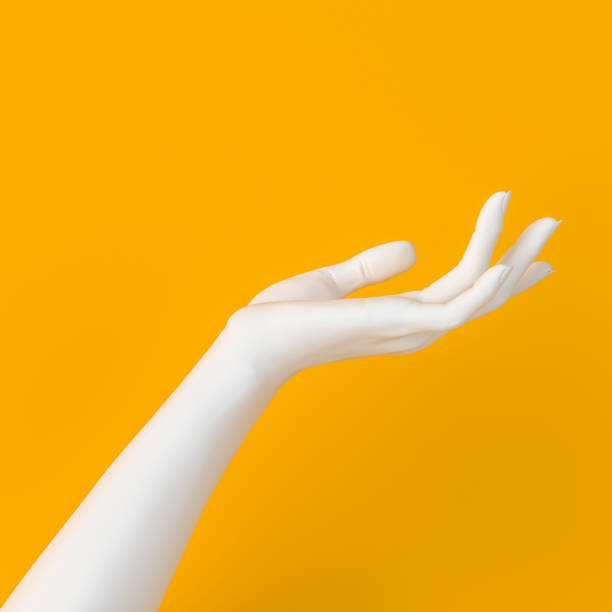 istock Showing hand. White open palm presenting gesture isolated on yellow background, female hand sculpture, art fashion concept, modern promo creative banner, 3d rendering, 1184001983