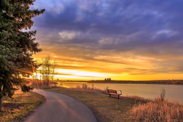 istock Sunrise Bench Lookout 1184005891