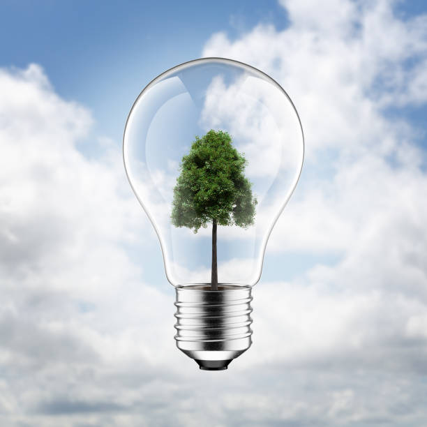 istock 3D Light Bulb With Green Tree Inside Isolated on Blue Sky and Clouds Background 1184005951
