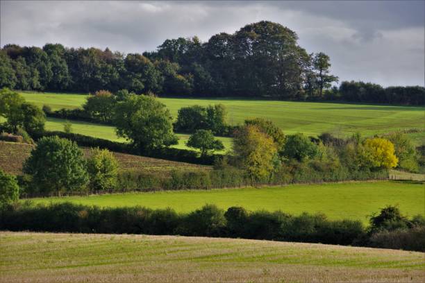 patchwork fields, recinzioni e panchine vuote - scene pastorali inglesi colorate a metà autunno - vale of evesham foto e immagini stock