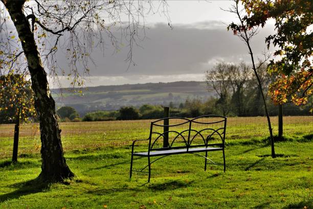 Photo of Patchwork Fields, Fences & Empty Benches - Colourful English Pastoral Scenes in Mid-Autumn