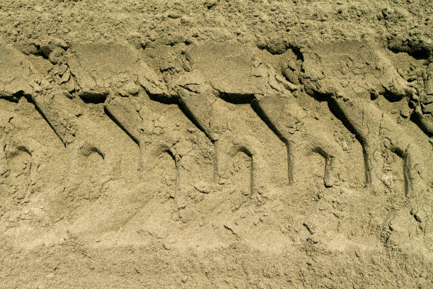 istock Tire tracks in the sand texture 1184007176