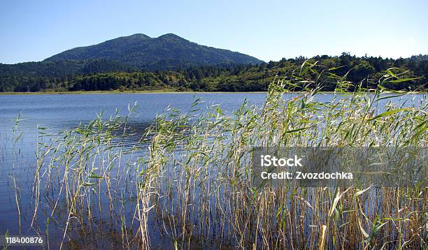 Lago Aliger - Fotografias de stock e mais imagens de Ao Ar Livre - Ao Ar Livre, Depressão - Caraterísticas do Território, Flora