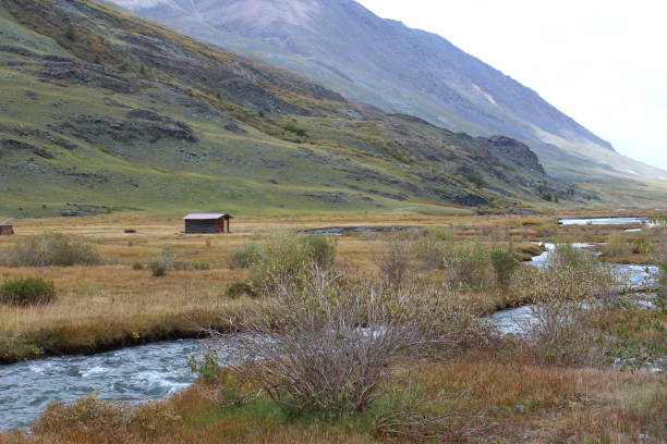 istock Altai dramatic landscape. Autumn lake in mountains. 1184009178
