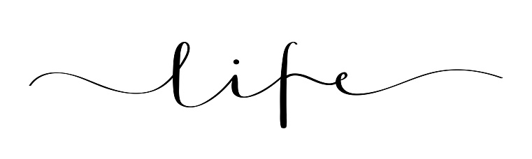 LIFE black vector brush calligraphy banner with swashes