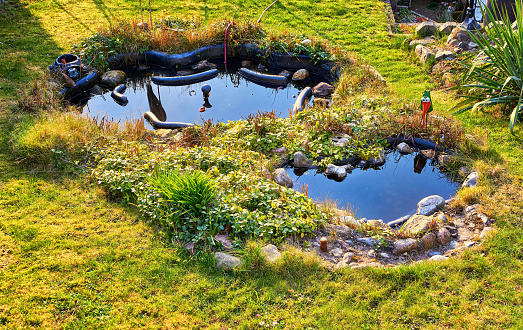 Pond in landscape design in a small garden as nature background.
