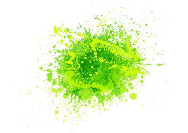 зеленая краска всплеск - lime juice illustrations stock illustrations