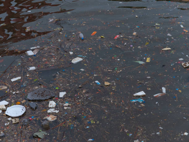 istock Water pollution environmental - Garbage on the river shore 1184019564