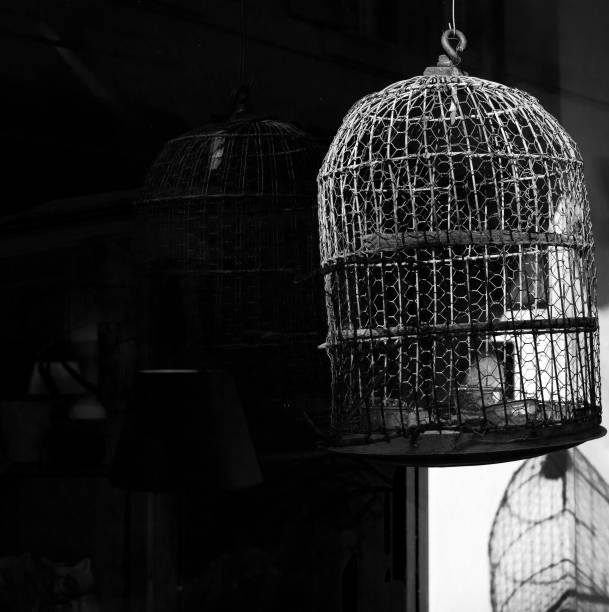 Vintage birdcage Wire cage birdcage photos stock pictures, royalty-free photos & images