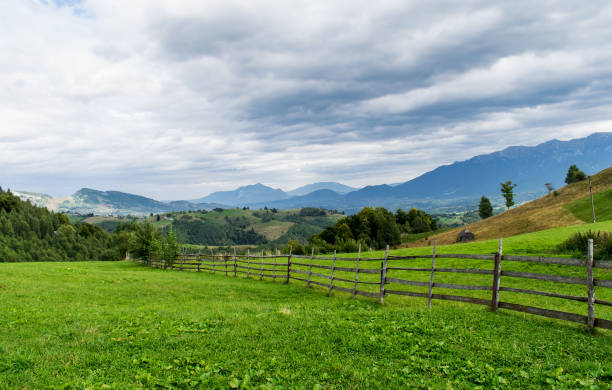 istock a green pasture in the mountains. 1184028255