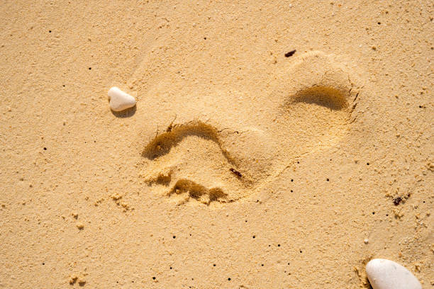 Footprint in sand