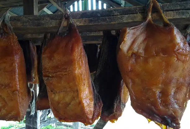 Photo of Iceland: Shark Meat Hanging/Curing in Shed