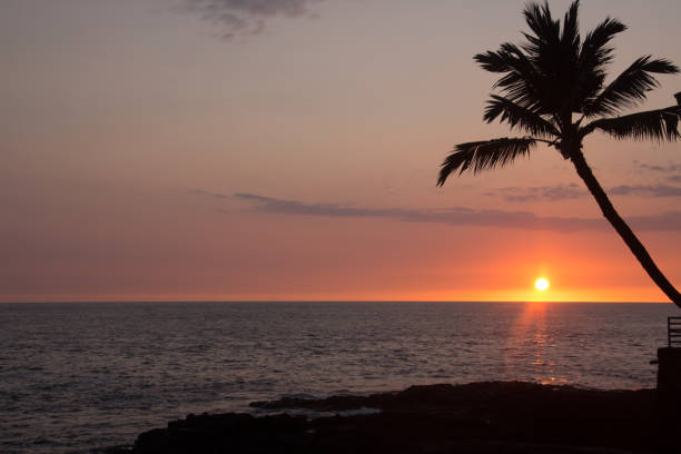 istock Sunset in Kona, Hawaii 1184029963