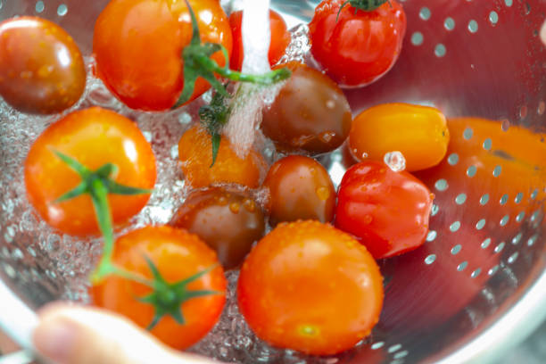 istock Washing tomatoes in the sink. 1184031511