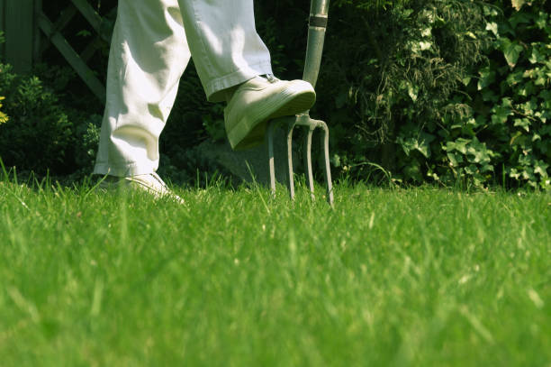 istock Senior woman digging the garden using gardening fork. Lower view 1184032255