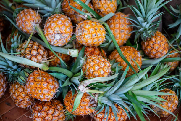 istock A pile of pineapples 1184034257
