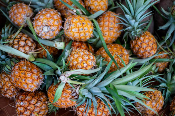 istock A pile of pineapples 1184034263