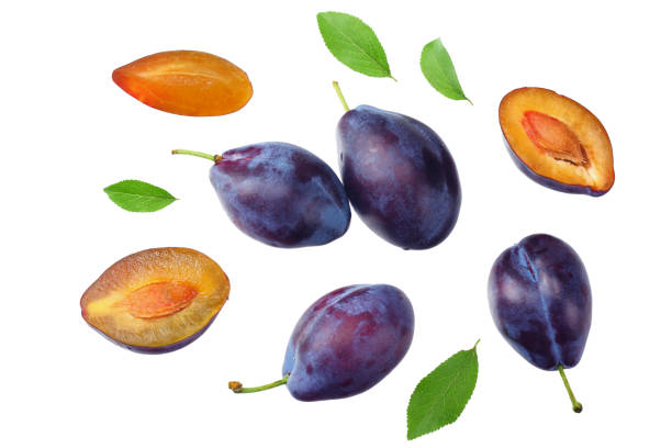 istock fresh plum fruit with green leaf and cut plum slices isolated on white background. top view 1184035964