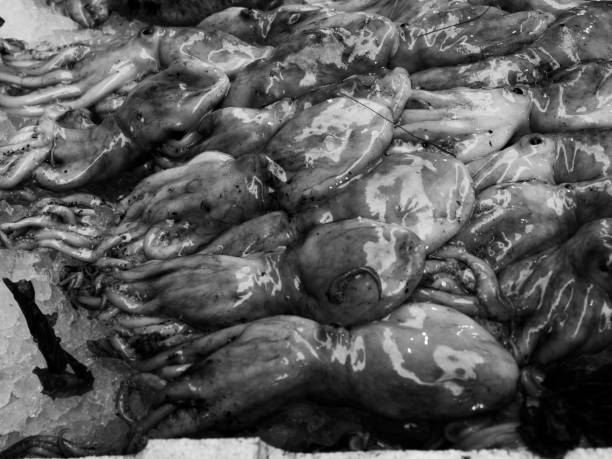 Fish at seamarket Medterranean fish exposed at open seamarket, Naples lampuga stock pictures, royalty-free photos & images