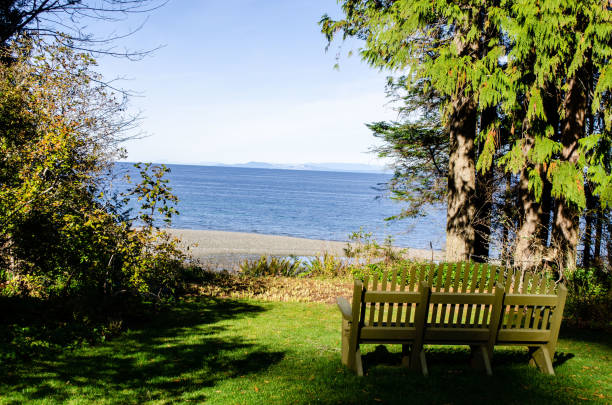 A bench by the sea