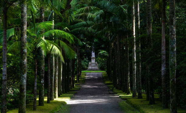 istock Terra Nostra Park V 1184045551